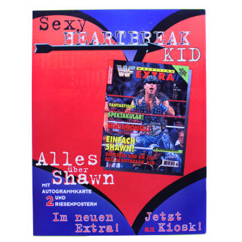 WWF Magazin Nr. 11 (1995) | Dino Verlag | Bret Hart, Undertaker & SummerSlam | Wrestling Sammlerstück